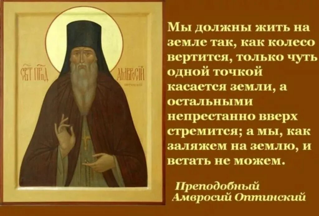 Жизнь старцев читать