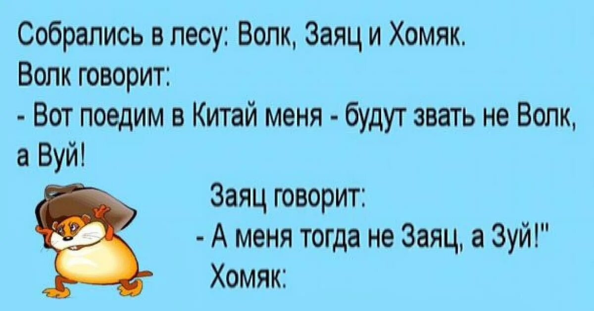 Анекдот про волка зайца и хомяка в Китае. Анекдот про зайца волка и хомяка. Волк заяц и хомяк собрались в Китай. Анекдоты про животных. Анекдот лиса волка