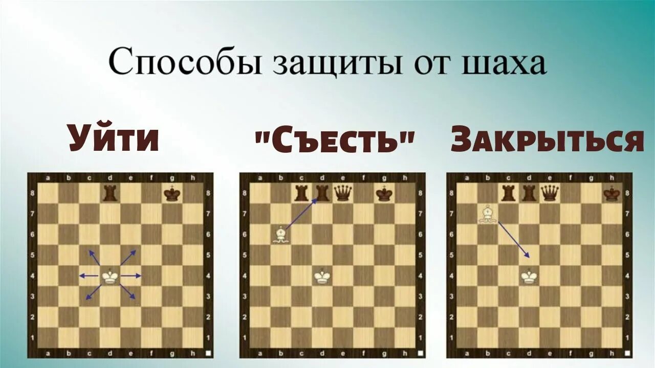 Нападение в шахматах. Защита от шаха в шахматах. Способы защиты в шахматах. Защита в шахматах для начинающих. Три способа защиты от шаха.
