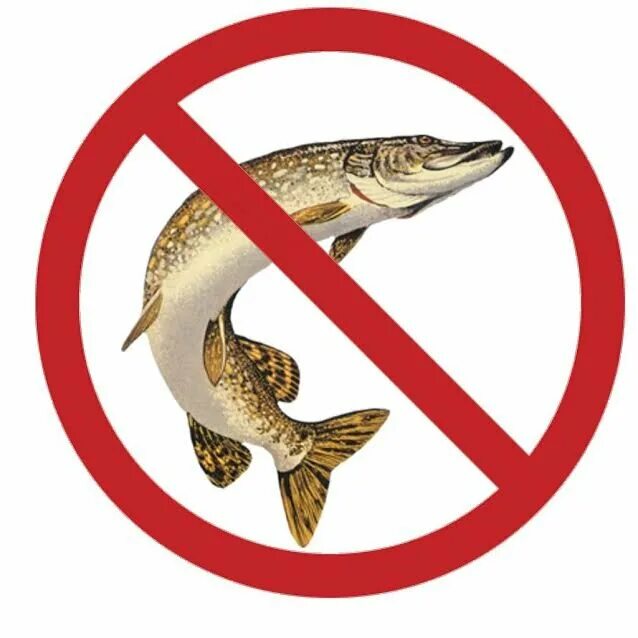 Запрет на рыбалку. Рыбалка запрещена. Запрещена рыбалка символ. Нерест рыбалка запрещена.