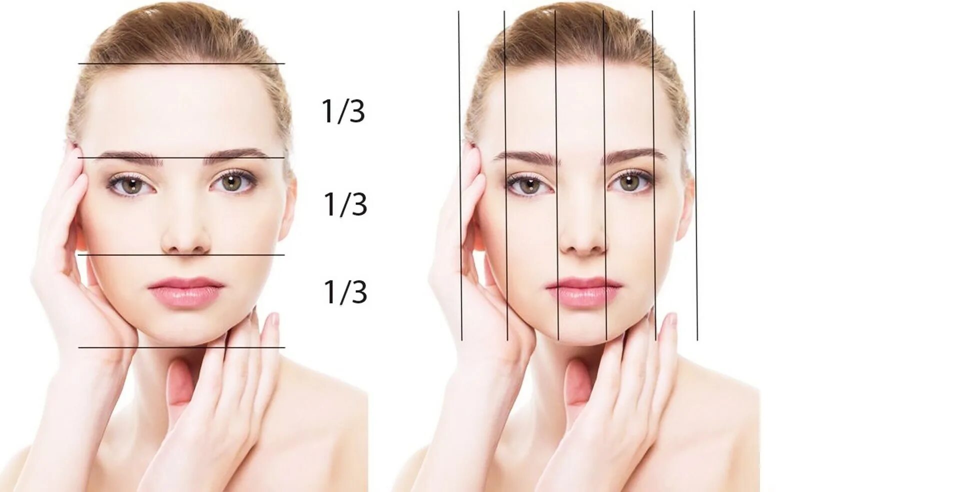 Лицо анфас на белом фоне. Гармоничное лицо. Упражнения для бровей. Гармоничное лицо. Гармоничное лицо.