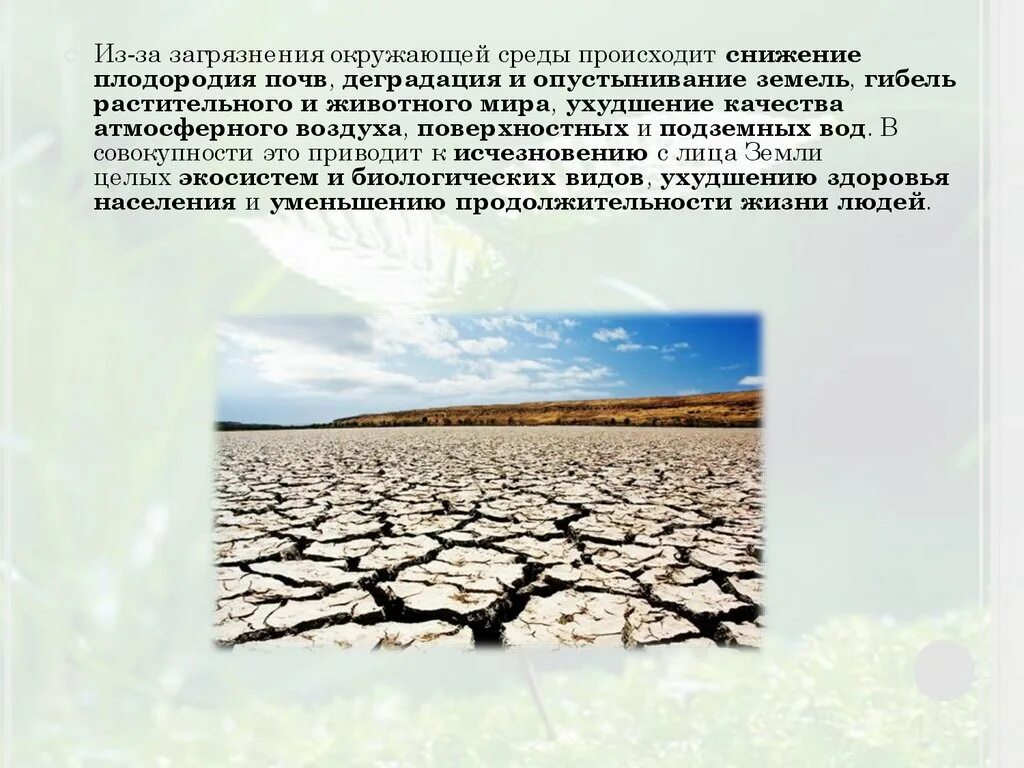 Какие действия человека приводят к опустыниванию. Загрязнение почвы опустынивание. Влияние опустынивания земель на окружающую среду. Снижение плодородия почв. Влияние загрязнения окружающей среды.