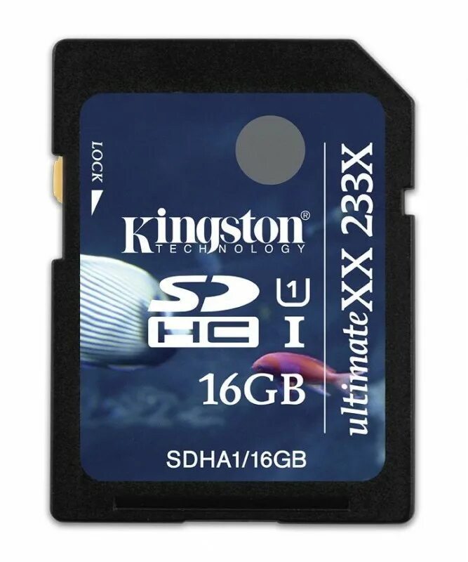 Карта памяти Kingston 32gb. Карта памяти SDHC 32gb Kingston UHS-I. Карта памяти Кингстон 32 ГБ. Карта памяти Кингстон sdxs.