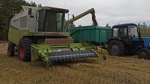 Уборка масличных культур