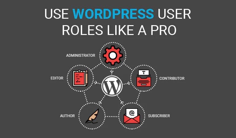 Wp_user_roles. WORDPRESS use Editor. Редактор роль картинки. User role Level. Wp users