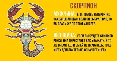Привлечь внимание скорпиона