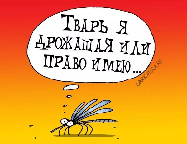 Трусится или трясется