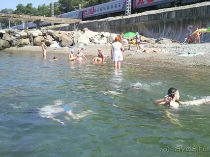 Погода хост сегодня