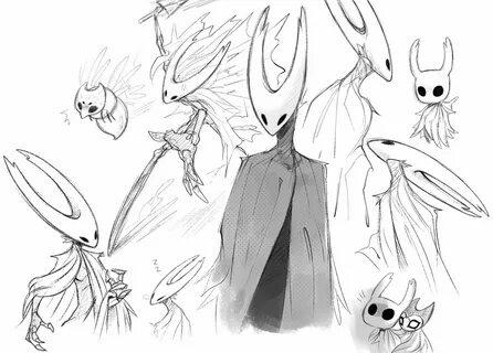 Hollow knight installer