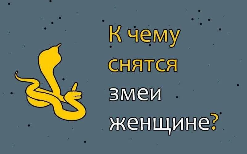 Сонник к чему снятся змеи во сне женщине. К чему снится змея женщине во сне. К чему снится змея женщине во сне. К чему снятся змеи женщине сонник. К чему снится змея женщине во сне.