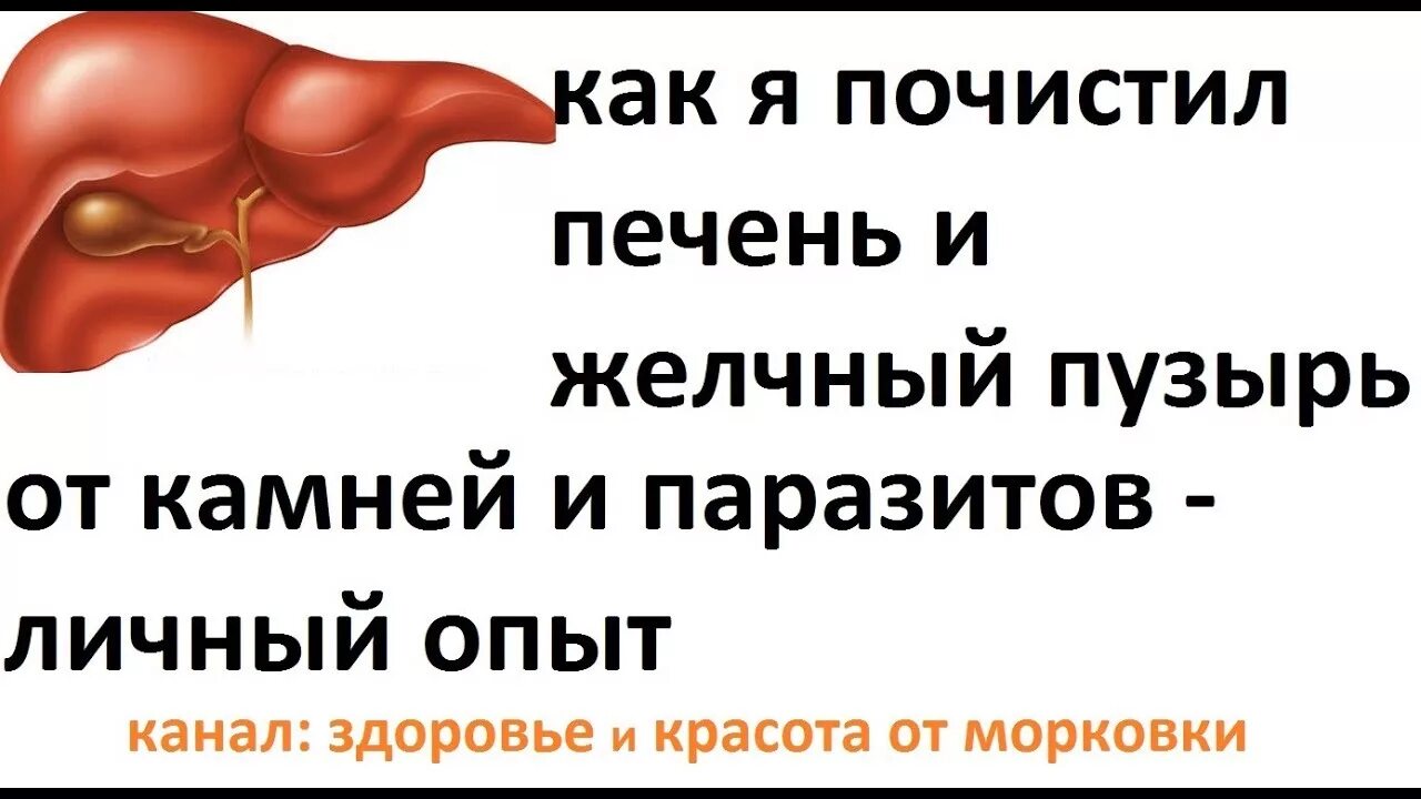 Камни в протоке печени. Очищение печени и желчного пузыря. Как почистить печень. Чистка желчного пузыря и печени. Как почистить печень и желчный.