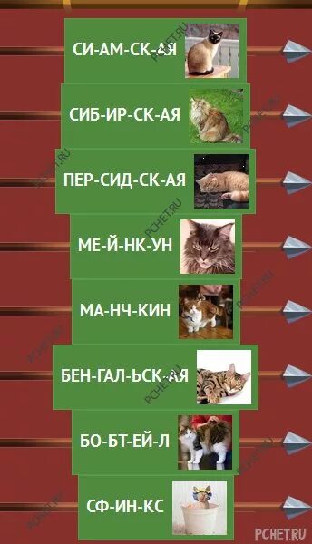 Игра в слова кошки. Кошки мышки логика слов замок 4. Кошки мышки логика слов. Кошки-мышки игра логика слов. Логика слов кошки мышки ответы.