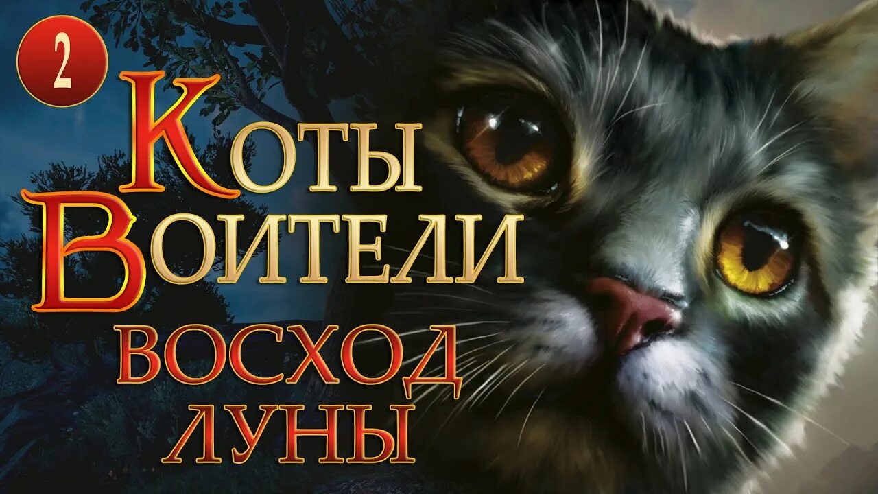 Полночь восход луны. Коты-Воители. Восход Луны. Коты Воители Восход Луны аудиокнига. Коты Воители Восход Луны читать.