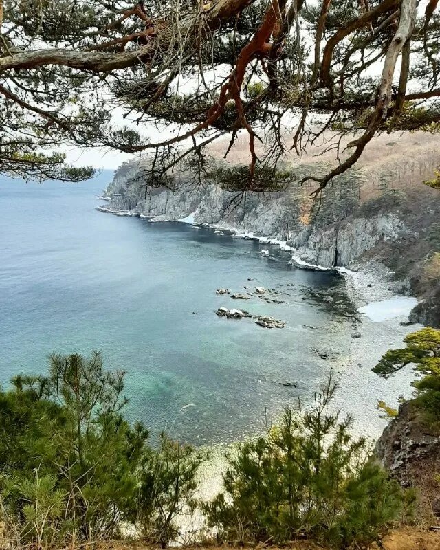 Движение приморье. Движение приморье. Движение приморье. Движение приморье. Движение приморье.