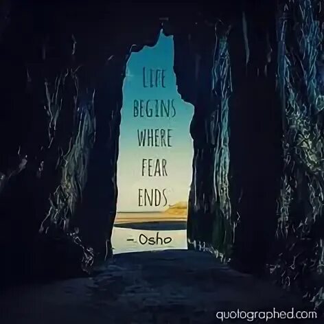 Life is fear. Life is a Fear Editors. Seeking Light: where Fears Rise.