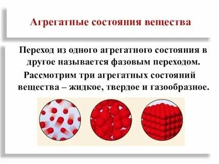 Дерево состояние вещества