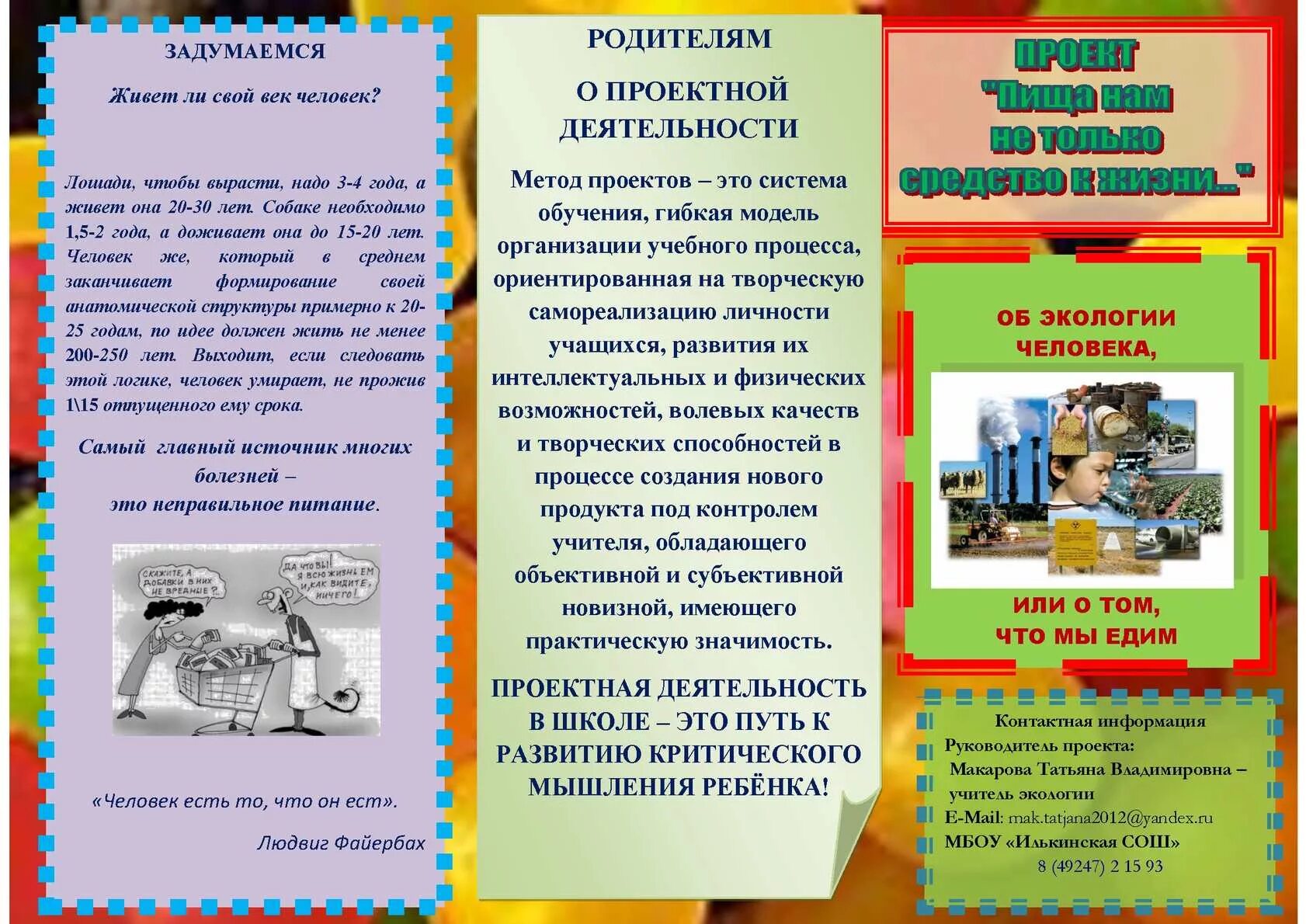 Буклет исследовательской работы. Информация для буклета. брошюры в доу. информационные брошюры для родителей. брошюрка консультация для родителей в доу.
