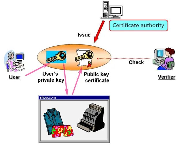 Импорт сертификата с закрытым ключом. Cert key. Public key. Cert key. Cert key.