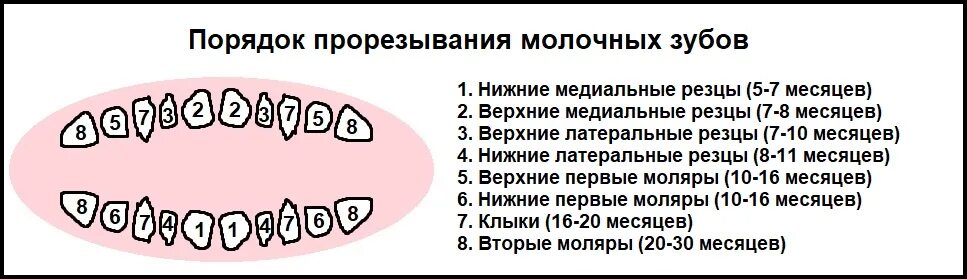 Прорезывание зубов в 5 лет может. Температура на зубы у ребенка 1 год. Температура на фоне прорезывания зубов у ребенка.