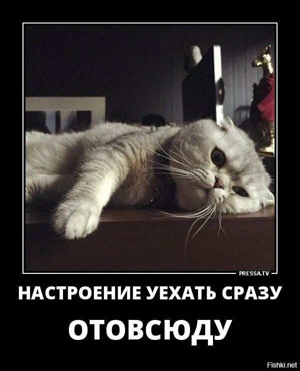 Настроения нет и не будет