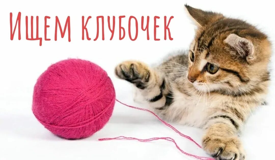 Котенок играет малыша. Кот с клубком. Клубок ниток. Котёнок и клубок. Кошка играет с клубком.