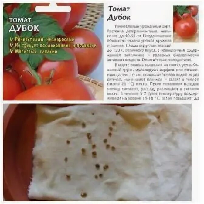 Когда замачивать семена томатов на рассаду 2024. Когда замачивать семена томатов на рассаду 2024. Семена помидор на рассаду. Семена перед посевом. Когда замачивать семена томатов на рассаду 2024.