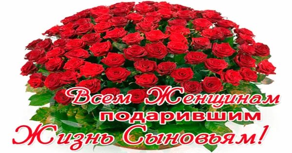 23 февраля всем женщинам подарившим жизнь сыновьям. Спасибо всем женщинам родившим сыновей. поздравления женщинам подарившим жизнь сыновьям. цветы всем женщинам родивших сыновей. всех женщин подаривших жизнь сыновьям открытки.