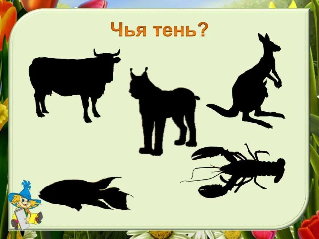 Угадай чей родственник. Чья тень. Отгадать животное по тени. Отгадай тень животного. Теневые изображения животных.