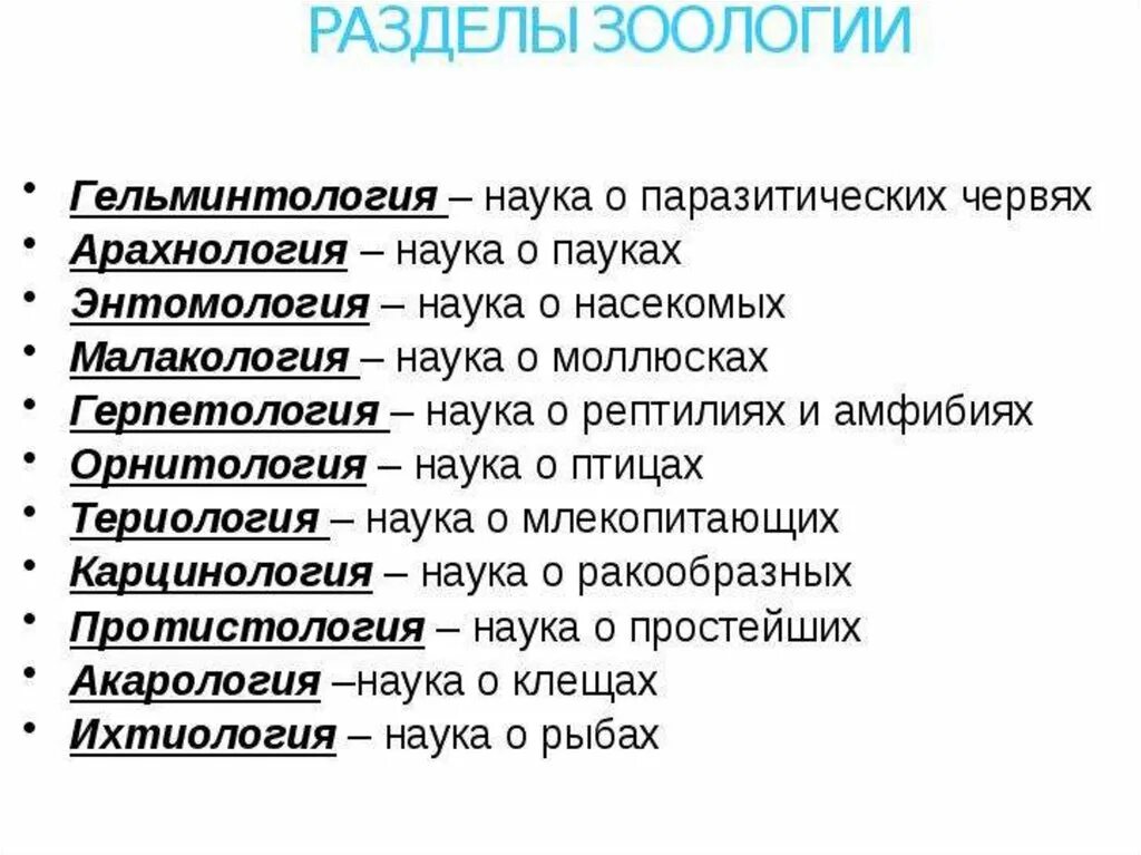 Разделы зоологии. Основные дисциплины зоологии. Названия наук изучающих животных. Разделы биологии Зоология. Териология это наука изучающая