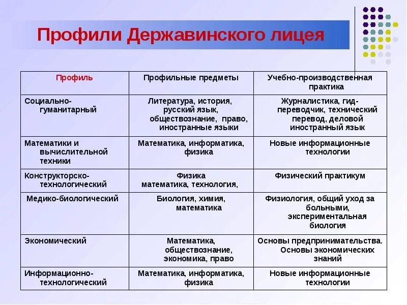 Профильные классы какие предметы. Профили в лицее. Державинский лицей профили. Профильные предметы. Какие есть профильные классы.