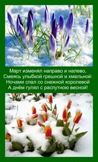 Факты про март