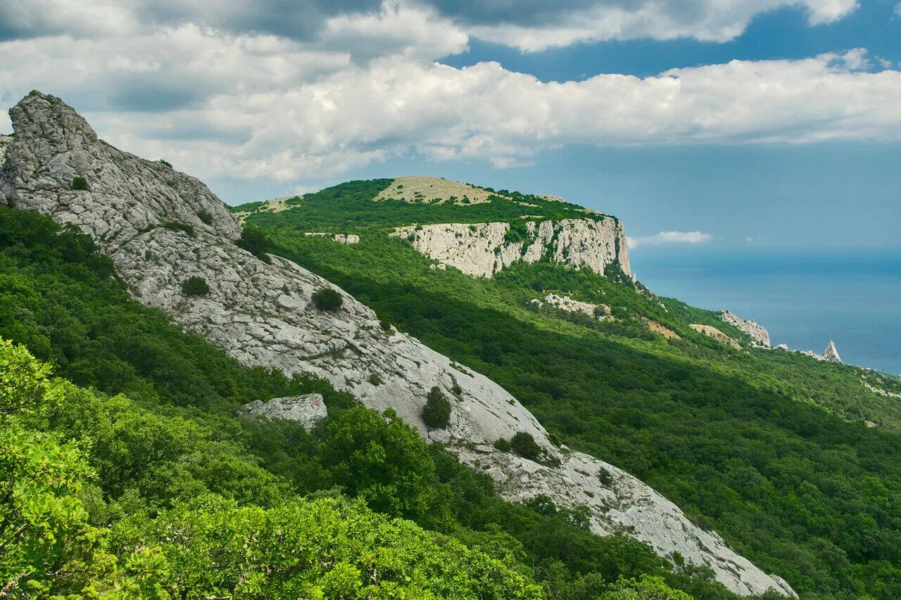 Крымские горы в Байдарской долине. Байдарская яйла. Яйла Крым. Урочище Таш-Джарган в Крыму. Мин воды севастополь