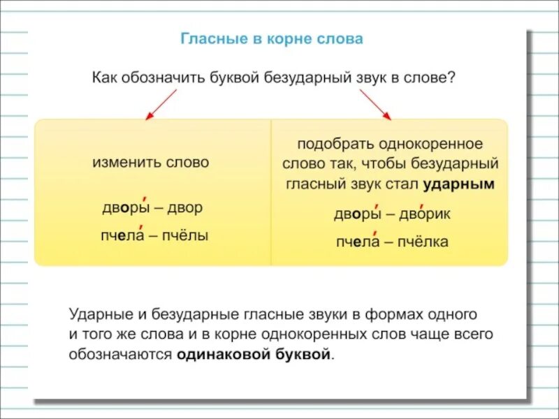 Как проверить безударную букву в слове. Буквы обозначающие безударный гласный звук. Как обозначить безударные гласные. Буквы обозначающие безударные гласные звуки. Буквы обозначающие безударные гласные.