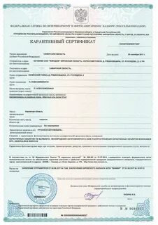 Погасить карантинный сертификат