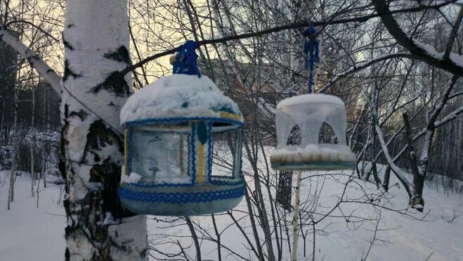 Из чего можно сделать кормушку для птиц