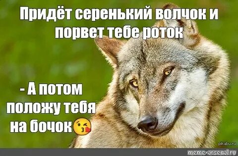 Серенький волчок слушать