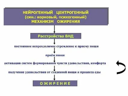 Нарушения липидного обмена клинические рекомендации 2023