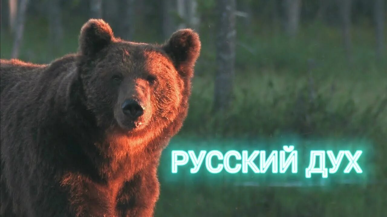 Ютуб русский дух. Русский дух. у россии русский дух. русский дух ютуб. русский дух видео.