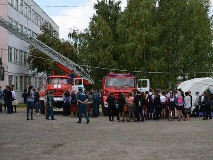 Сош 8 петровск