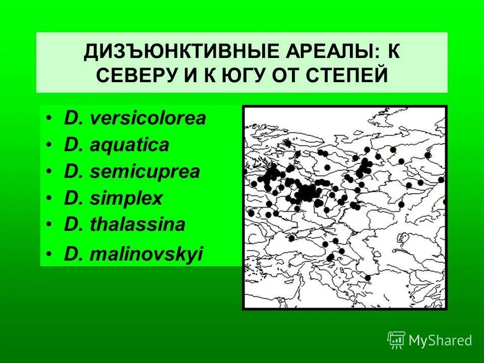 Дизъюнктивный ареал. Ареалы растений и типы ареалов. Ареал распространения двоякодышащих рыб. Дизъюнктивный ареал животных. Примеры ареалов дизъюнкции.