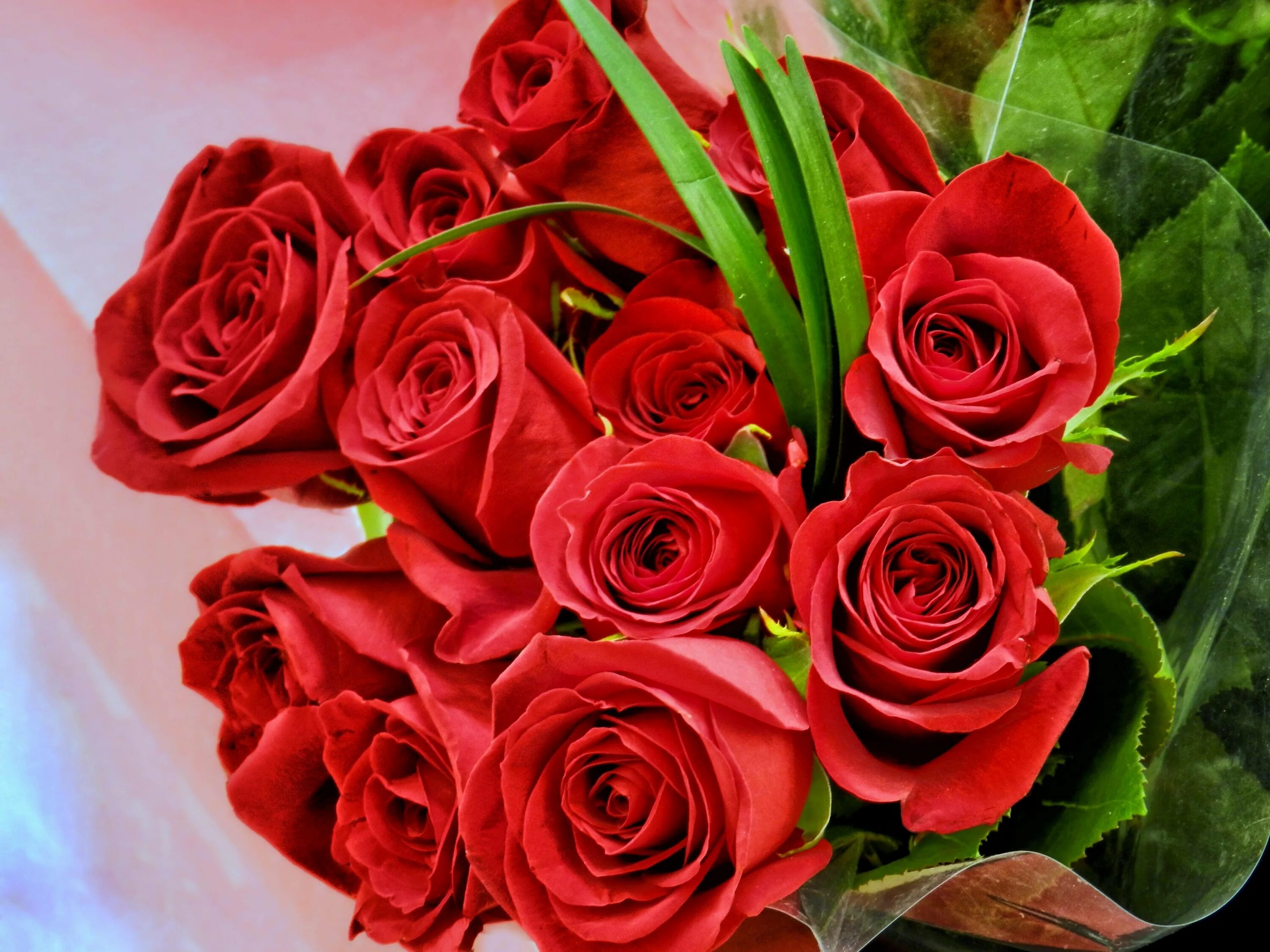 Открытки букет любимой. Роскошные цветы. Шикарные цветы. Шикарный букет роз.