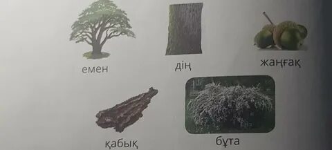 Секс Бианка