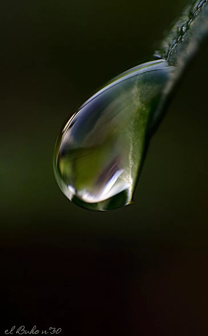 Капля. Капли воды. Красивая капля воды. Капля воды Эстетика.