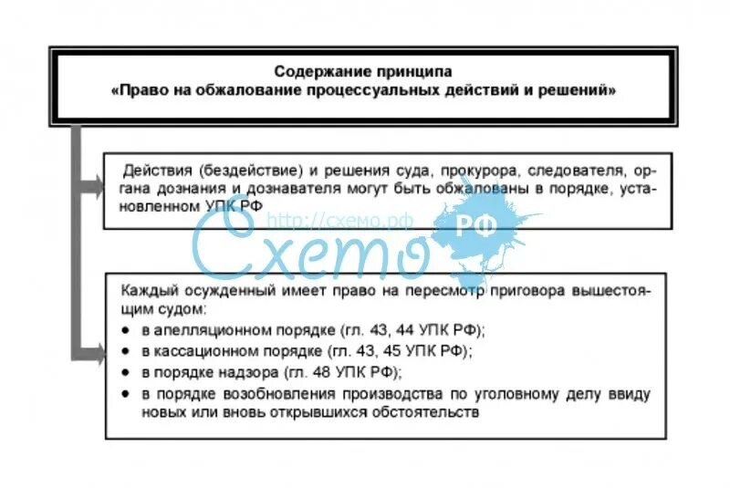 Обжалование решений уголовного процесса. Право на обжалование процессуальных действий и решений. Обжалование процессуальных действий и решений в уголовном процессе. 3 право обжалования