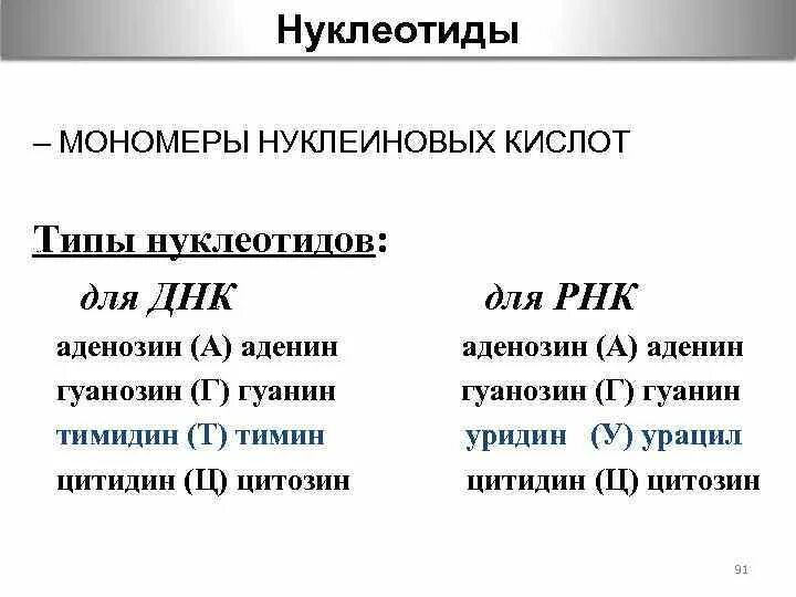 Типы нуклеотидов ДНК. Название нуклеотидов РНК. Типы нуклеотидов ДНК И РНК. Типы нуклеотидов РНК.