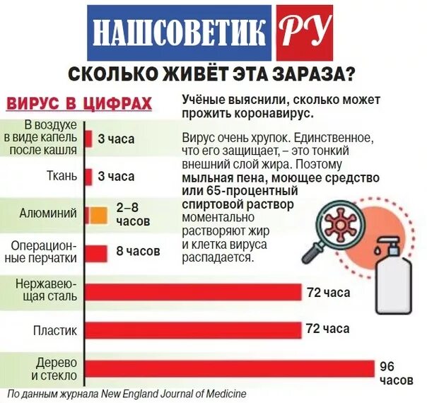 Продолжительность жизни вирусов. Сколько держится корона. Сколько держится коронавирус. Сколько коронавирус живет на поверхностях.