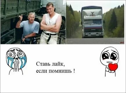 Лайк поставлю собака