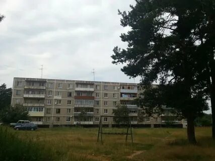 Осаново дубовое