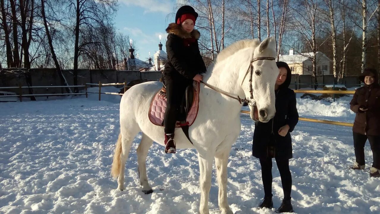 режим работы лошади. конный дворик ярославль. конный двор. конный клуб каприз тверь. конный двор измайлово.