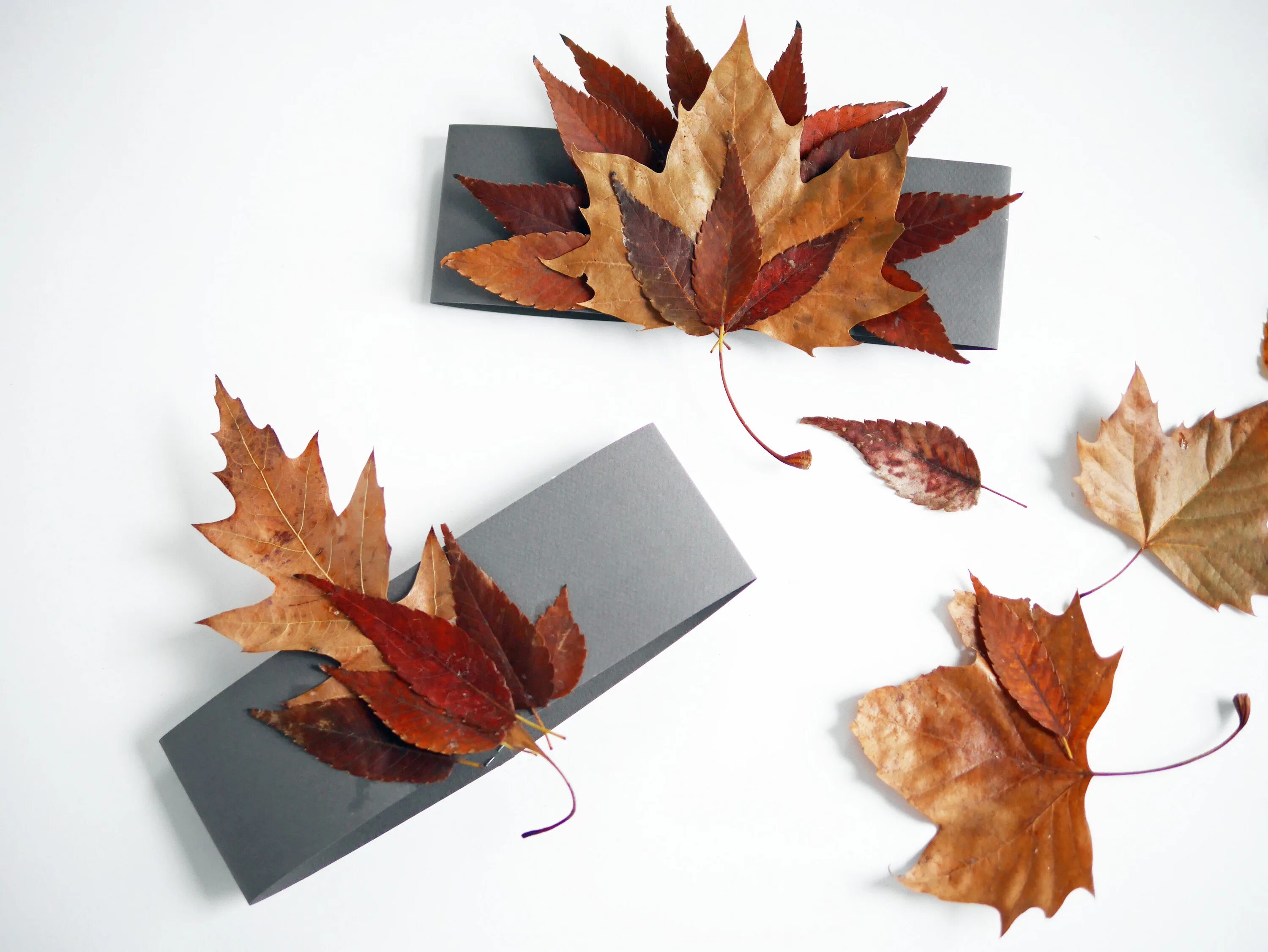 Корона из клена. Корона на осенний бал. Сделать корону из листьев. Корона из листьев. Осенние короны для детей.